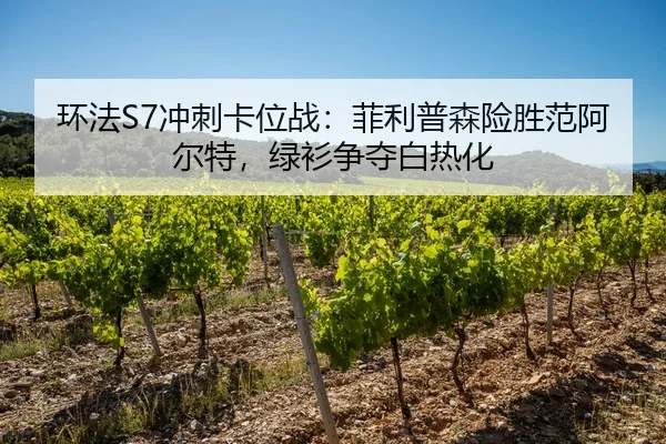 环法S7冲刺卡位战：菲利普森险胜范阿尔特，绿衫争夺白热化