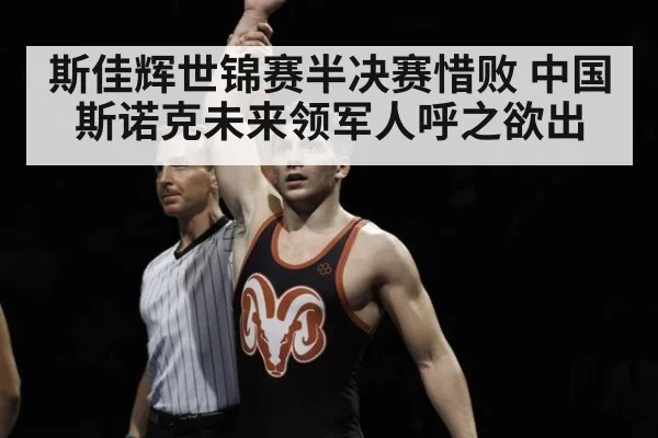 斯佳辉世锦赛半决赛惜败 中国斯诺克未来领军人呼之欲出