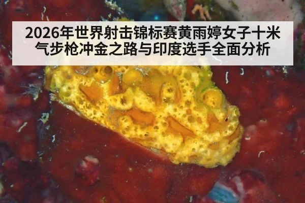 2026年世界射击锦标赛黄雨婷女子十米气步枪冲金之路与印度选手全面分析